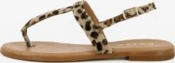 Slippers Teenslipper OLIMPIA Dames Gemengde Kleuren 9 Slippers Teenslipper OLIMPIA Dames Gemengde Kleuren -Tamaris Winkel 024245bd27bd8c2908fce4080ea3fd55