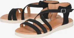 Apple Of Eden Sandalen Met Bandjes Sandalen Met Riem Irina Dames Zwart 15 Apple Of Eden Sandalen Met Bandjes Sandalen Met Riem Irina Dames Zwart -Tamaris Winkel 0777f4342e422702caf8d6b85c2200cd