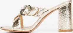 Sandalen Met Hak Muiltjes Chene Dames Goud