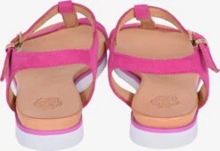 Apple Of Eden Sandalen Met Bandjes Sandalen Met Riem DANA Dames Pink -Tamaris Winkel 2c40b4713af50581336e77ef3a03ebca