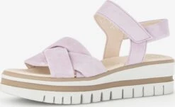 Gabor Sandalen Met Hak Sandalen Met Riem Dames Rosa