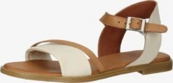 Sandalen Met Bandjes Sandalen Met Riem Dames Beige / Crème