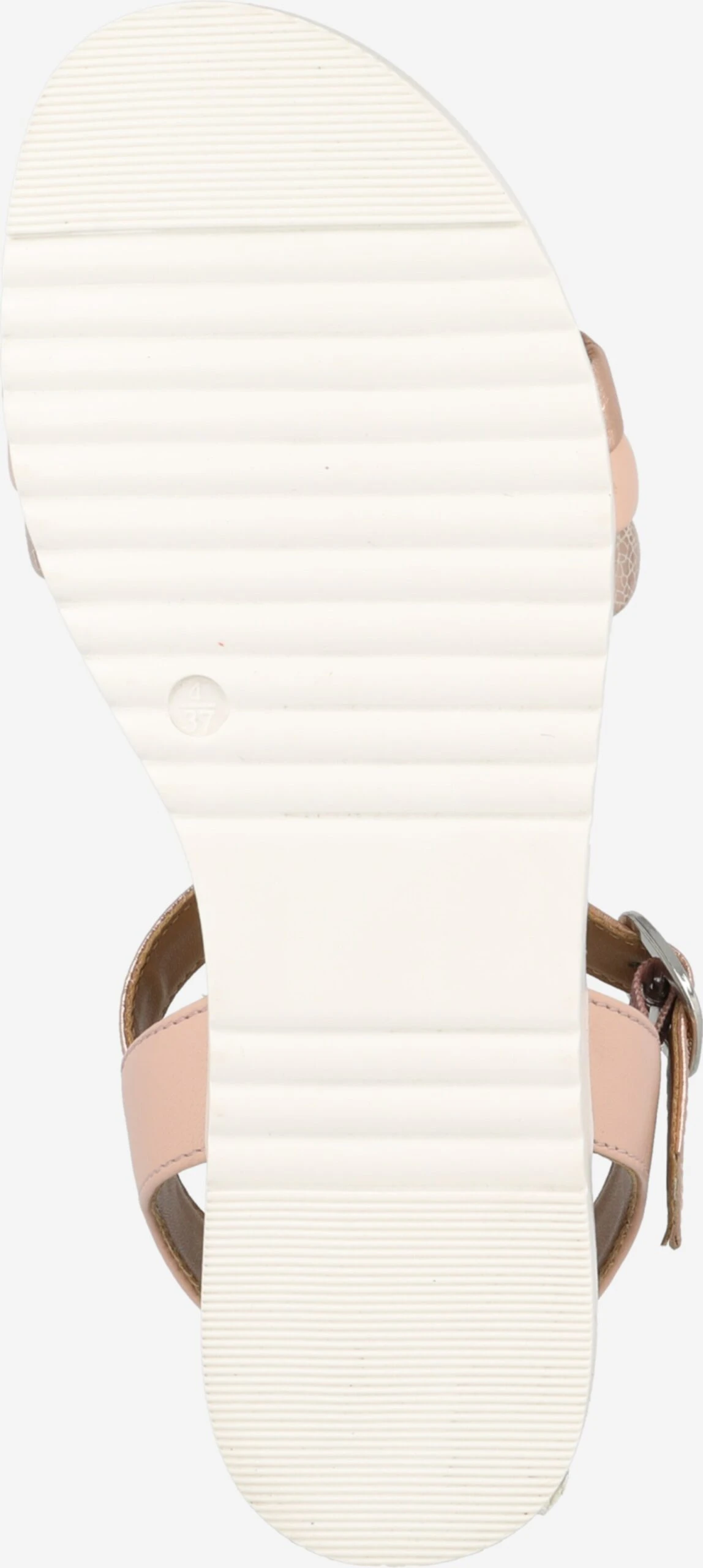 Dorothy Perkins Sandalen Met Bandjes Sandalen Met Riem Tina Dames Poederroze 3 Dorothy Perkins Sandalen Met Bandjes Sandalen Met Riem Tina Dames Poederroze - Afbeelding 3