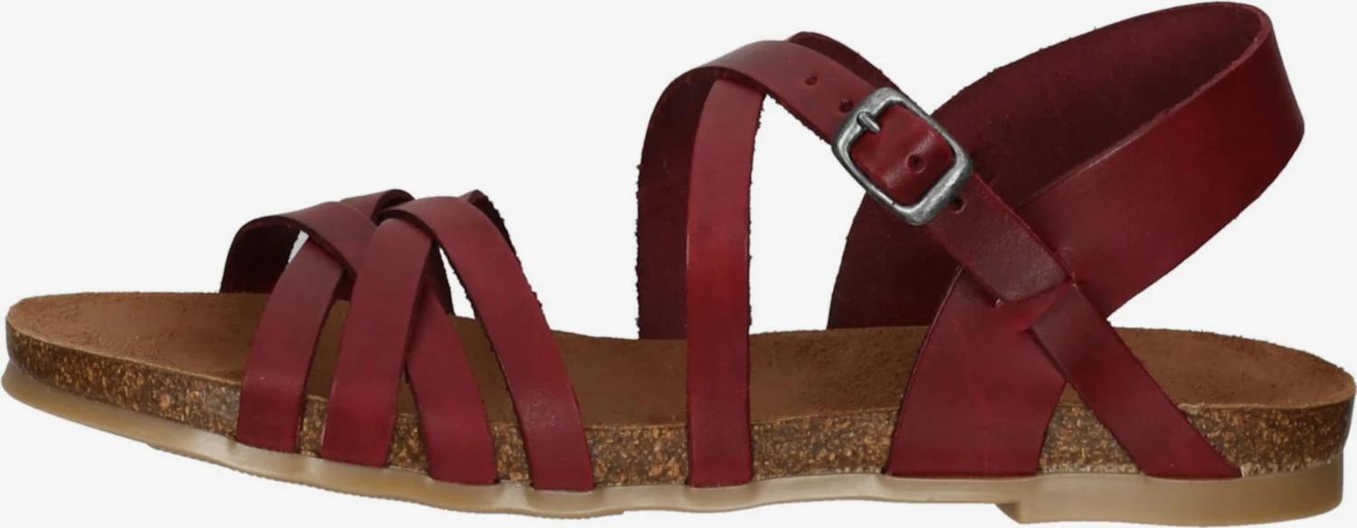 Sandalen Met Bandjes Sandalen Met Riem Dames Donkerrood 2 Sandalen Met Bandjes Sandalen Met Riem Dames Donkerrood - Afbeelding 2