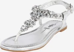 Buffalo Slippers Teenslipper Rhonda Dames Zilver