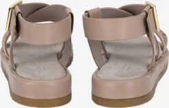 Plateau Sandalen Sandaal JAANE Dames Beige -Tamaris Winkel 55151d9751fd18c4a4373467a0eaa6ab