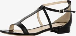 Sandalen Met Bandjes Sandalen Met Riem Salvina Dames Zwart
