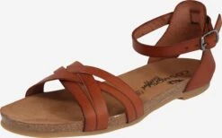Sandalen Met Bandjes Sandalen Met Riem Dames Kastanjebruin