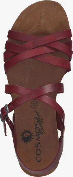 Sandalen Met Bandjes Sandalen Met Riem Dames Donkerrood 12 Sandalen Met Bandjes Sandalen Met Riem Dames Donkerrood -Tamaris Winkel 6427078e2c2ca0d4ab7184ffc41a625a scaled