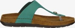 Rohde Slippers Teenslipper Dames Jade Groen -Tamaris Winkel 66276fd46df6268c0b01e8ba02dec844