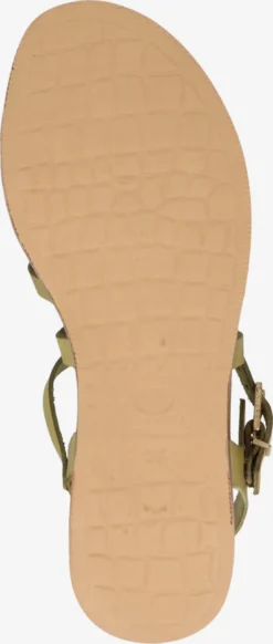 Fred De La Bretonière Sandalen Met Bandjes Sandalen Met Riem Dames Groen / Lichtgroen 12 Fred De La Bretonière Sandalen Met Bandjes Sandalen Met Riem Dames Groen / Lichtgroen -Tamaris Winkel 8fd1a4346fd430969f809e2340261236 scaled