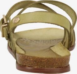 Fred De La Bretonière Sandalen Met Bandjes Sandalen Met Riem Dames Groen / Lichtgroen 11 Fred De La Bretonière Sandalen Met Bandjes Sandalen Met Riem Dames Groen / Lichtgroen -Tamaris Winkel afd5da14d6fe20b58a64da12a0ac3727