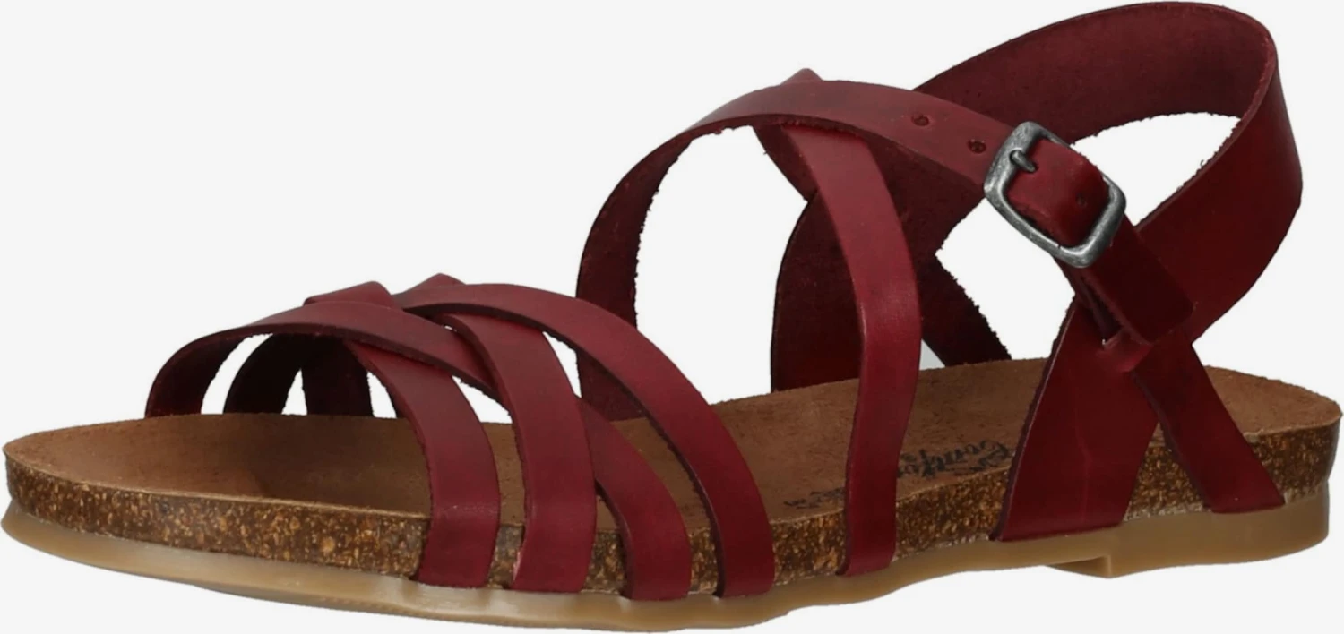 Sandalen Met Bandjes Sandalen Met Riem Dames Donkerrood 1 Sandalen Met Bandjes Sandalen Met Riem Dames Donkerrood