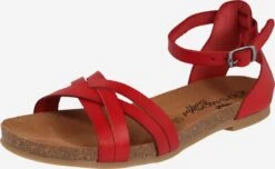Sandalen Met Bandjes Sandalen Met Riem Dames Rood