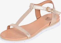 Apple Of Eden Sandalen Met Bandjes Sandalen Met Riem DANA Dames Goud
