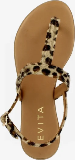 Slippers Teenslipper OLIMPIA Dames Gemengde Kleuren 8 Slippers Teenslipper OLIMPIA Dames Gemengde Kleuren -Tamaris Winkel d9d6b77dab4279ed3b3316ad1a0533d2 scaled