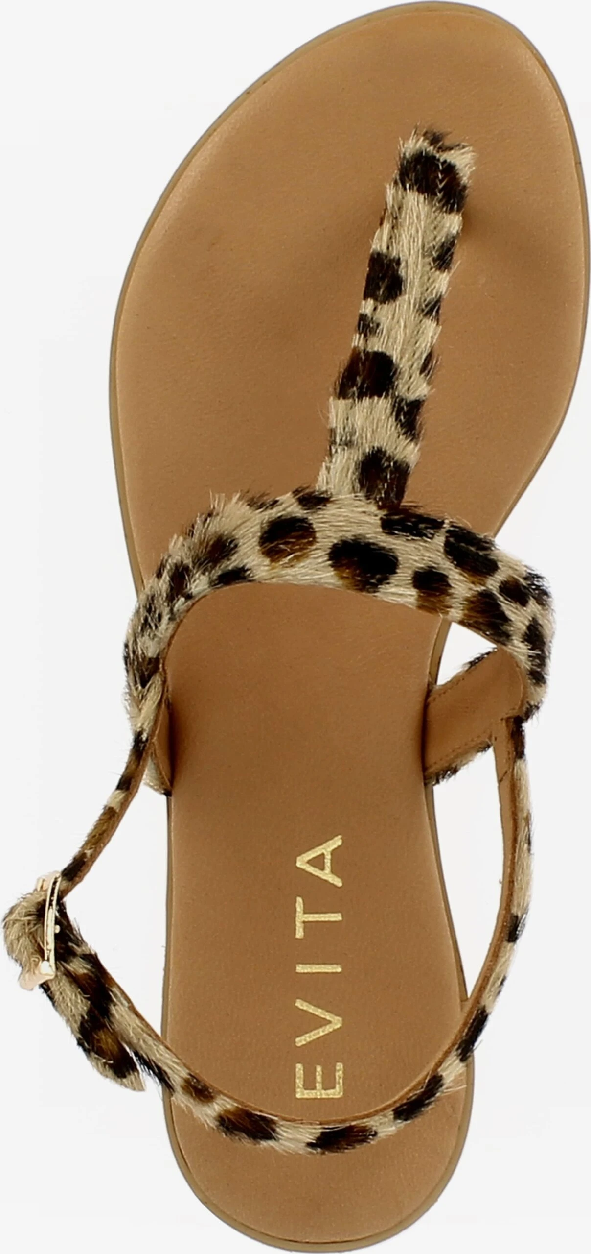 Slippers Teenslipper OLIMPIA Dames Gemengde Kleuren 3 Slippers Teenslipper OLIMPIA Dames Gemengde Kleuren - Afbeelding 3