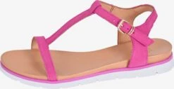 Apple Of Eden Sandalen Met Bandjes Sandalen Met Riem DANA Dames Pink -Tamaris Winkel e2df1f16e05bb194cde9d8b719e538c0
