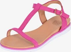 Apple Of Eden Sandalen Met Bandjes Sandalen Met Riem DANA Dames Pink