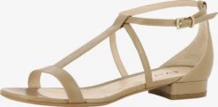 Sandalen Met Bandjes Sandalen Met Riem Salvina Dames Beige