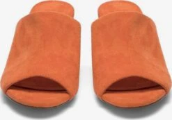 Bianco Sandalen Met Hak Muiltjes CATE Dames Oranje 11 Bianco Sandalen Met Hak Muiltjes CATE Dames Oranje -Tamaris Winkel fd98de0b9c1e6353c967d75d12dec5a5